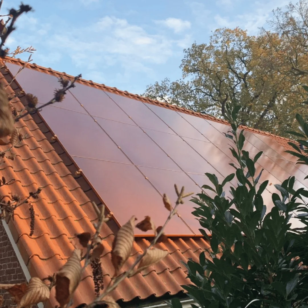 Panel solar Eurener Pallet 24 ud: 400W Bifacial Terracota TOP Con N-type - Imagen 4